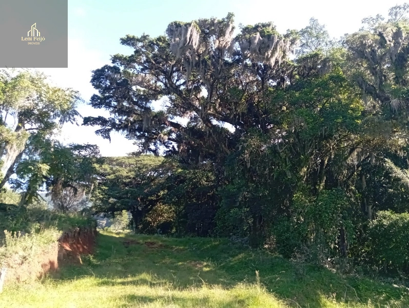 ÁREA DE 9,4 HECTARES: 12ª foto da galeria de imagens do imóvel