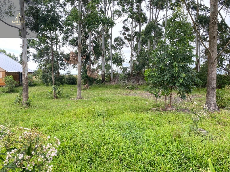 Lotes 12x29 a 1,2 km do mar – Arroio do Sal: 2ª foto da galeria de imagens do imóvel