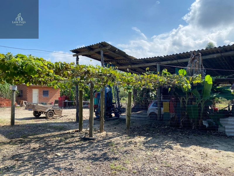 Casa com 3 dorm, galpão, açude e árvores frutíferas: 5ª foto da galeria de imagens do imóvel