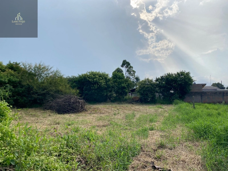 LOTES NO CENTRO DA CIDADE: 4ª foto da galeria de imagens do imóvel