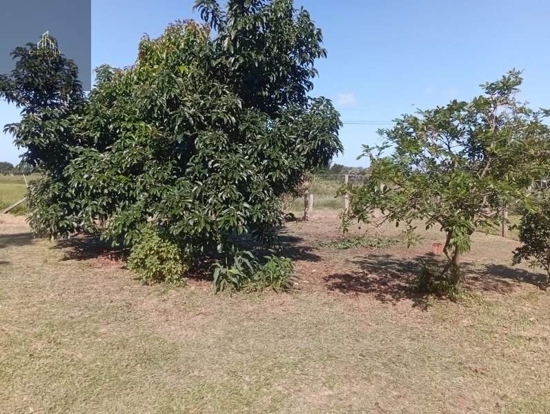 CASA LOCAÇÃO: 4ª foto da galeria de imagens do imóvel