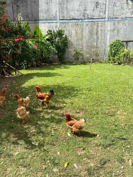 CASA BELA VISTA: 16ª foto da galeria de imagens do imóvel