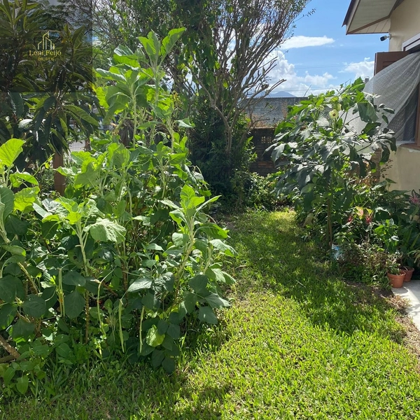 CASA BELA VISTA: 19ª foto da galeria de imagens do imóvel