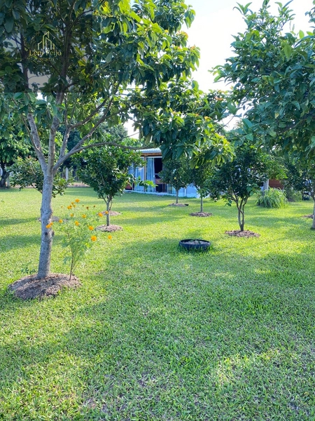 Casa mista no centro de Terra de Areia: 4ª foto da galeria de imagens do imóvel