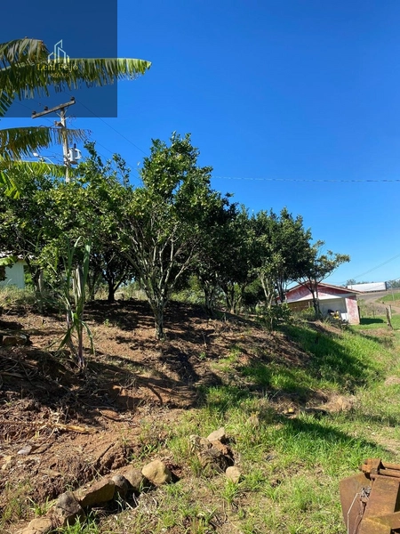 Chácara 2ha completa com casas, galpão e estrutura rural: 5ª foto da galeria de imagens do imóvel