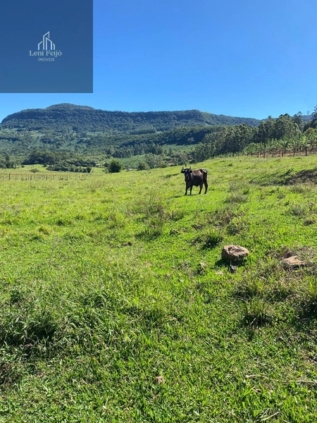 Chácara 2ha completa com casas, galpão e estrutura rural: 7ª foto da galeria de imagens do imóvel