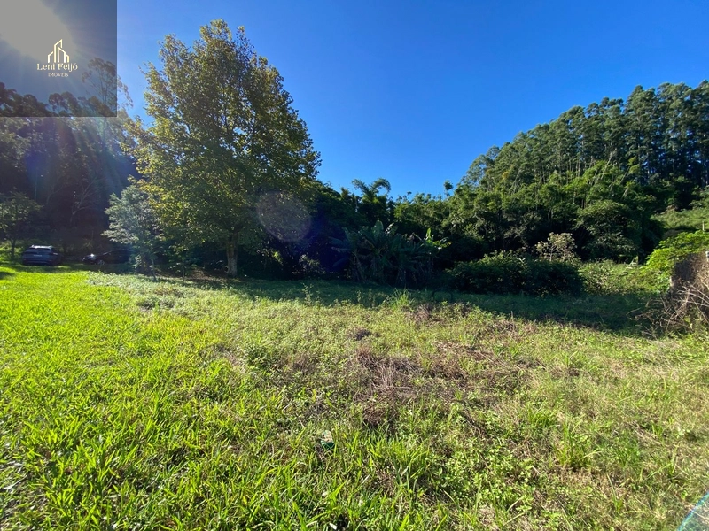 Área rural 10,7ha com casa e bananal perto do centro: 10ª foto da galeria de imagens do imóvel