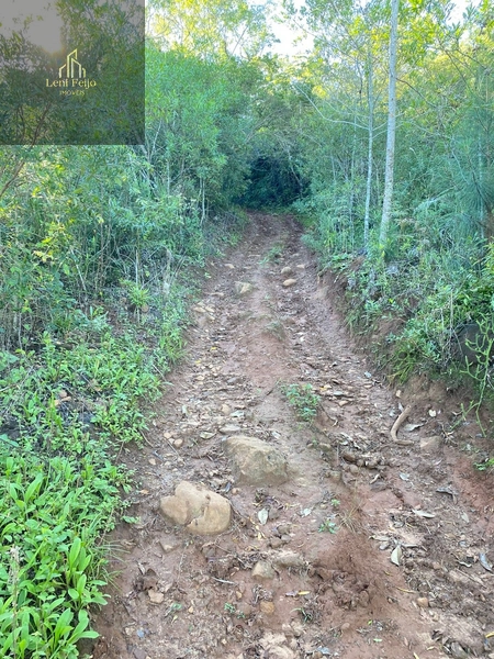 Área rural 10,7ha com casa e bananal perto do centro: 7ª foto da galeria de imagens do imóvel