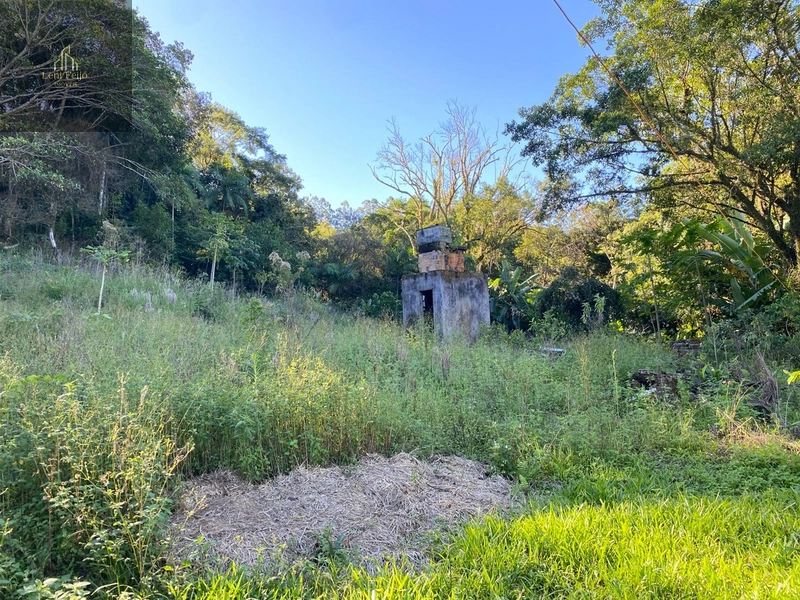 Área rural 10,7ha com casa e bananal perto do centro: 5ª foto da galeria de imagens do imóvel