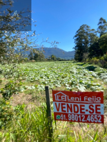 Área rural de 16.120m² à venda em Terra de Areia: 1ª foto da galeria de imagens do imóvel