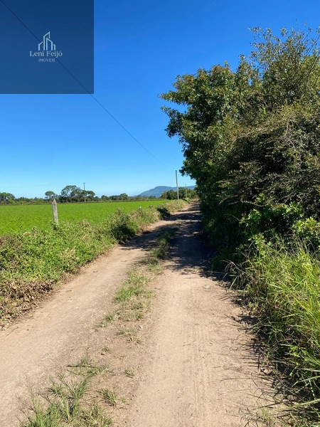 Área rural de 16.120m² à venda em Terra de Areia: 2ª foto da galeria de imagens do imóvel