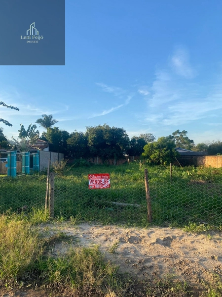 Terreno escriturado próximo ao centro de Terra de Areia: 3ª foto da galeria de imagens do imóvel