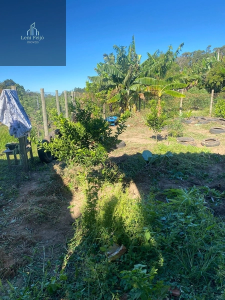 Casa com 2 dormitórios e pátio fechado: 9ª foto da galeria de imagens do imóvel