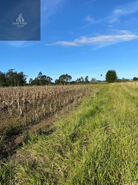 Área plana de 2.715m² para moradia ou plantio: 3ª foto da galeria de imagens do imóvel