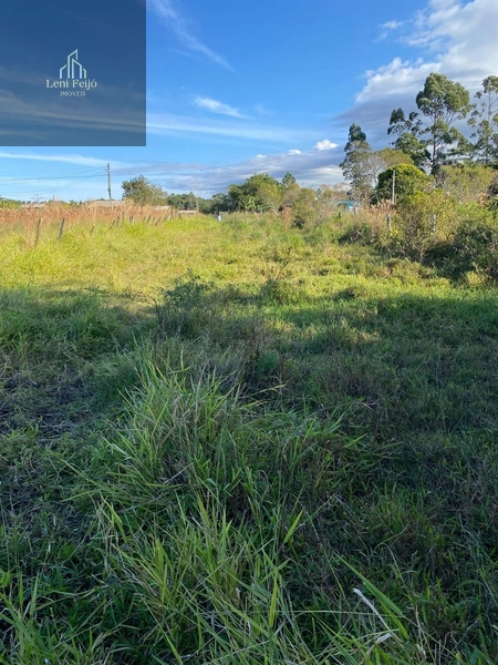 Área plana de 2.715m² para moradia ou plantio: 6ª foto da galeria de imagens do imóvel