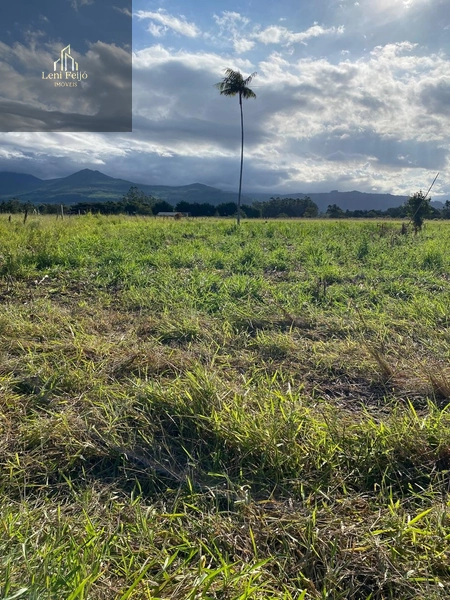 Área plana de 2.715m² para moradia ou plantio: 5ª foto da galeria de imagens do imóvel