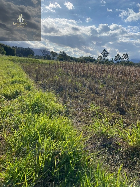 Área plana de 2.715m² para moradia ou plantio: 4ª foto da galeria de imagens do imóvel