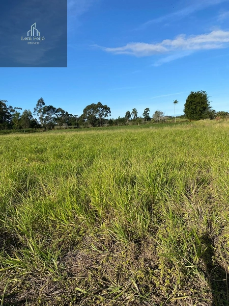 Área plana de 2.715m² para moradia ou plantio: 2ª foto da galeria de imagens do imóvel