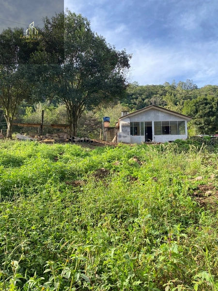 Chácara 1,8 ha com casa de 3 quartos em Três Forquilhas: 1ª foto da galeria de imagens do imóvel