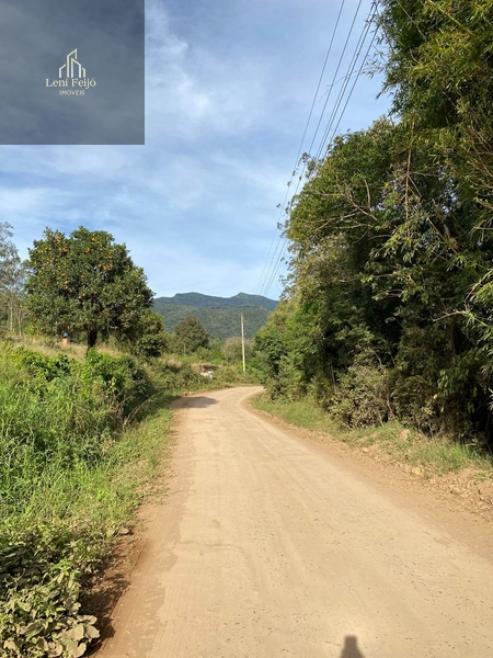 Chácara 1,8 ha com casa de 3 quartos em Três Forquilhas: 2ª foto da galeria de imagens do imóvel