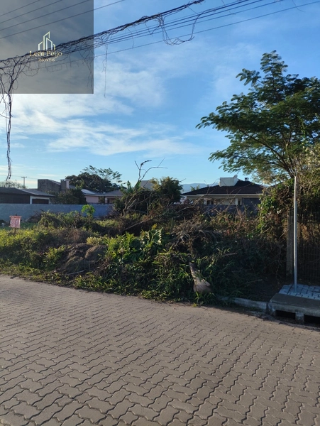 Terreno 12x30 no Centro com escritura e rua pavimentada: 3ª foto da galeria de imagens do imóvel