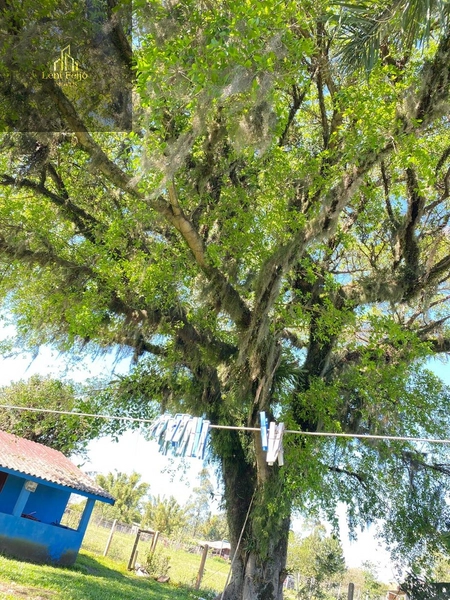 Chácara: 2ª foto da galeria de imagens do imóvel