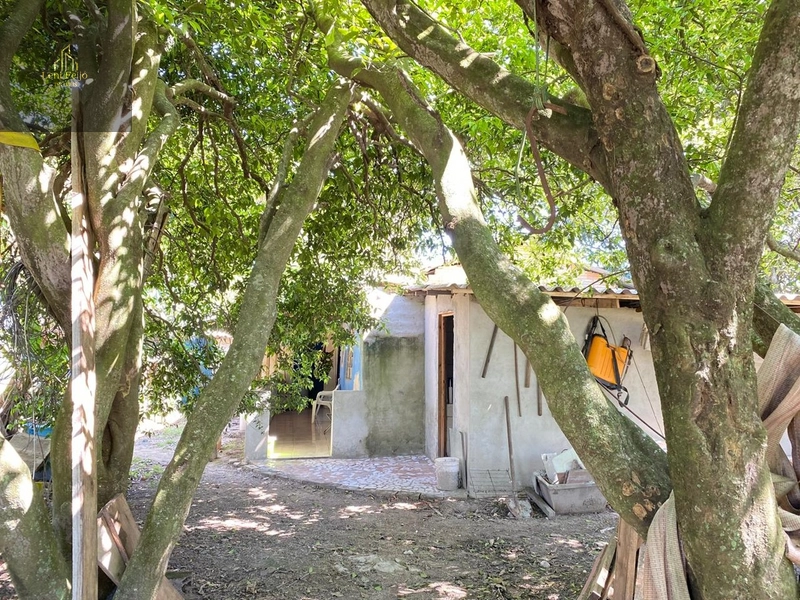 Chácara: 10ª foto da galeria de imagens do imóvel