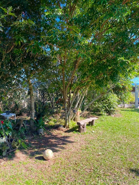 Chácara com casa, galpão e amplo terreno em Terra de Areia: 11ª foto da galeria de imagens do imóvel