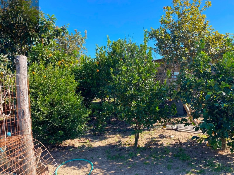 Chácara com casa, galpão e amplo terreno em Terra de Areia: 14ª foto da galeria de imagens do imóvel