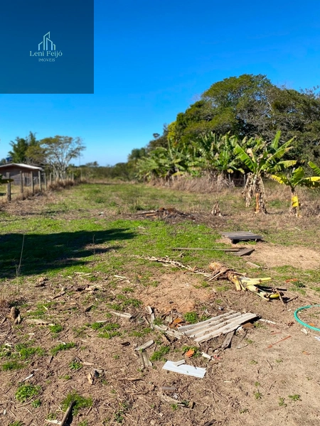 Chácara com casa, galpão e amplo terreno em Terra de Areia: 13ª foto da galeria de imagens do imóvel