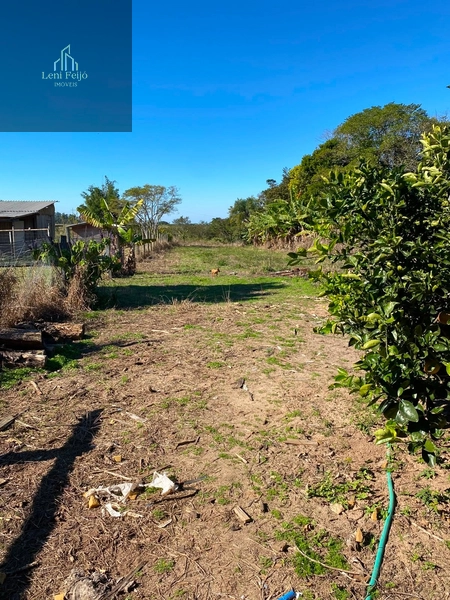 Chácara com casa, galpão e amplo terreno em Terra de Areia: 17ª foto da galeria de imagens do imóvel