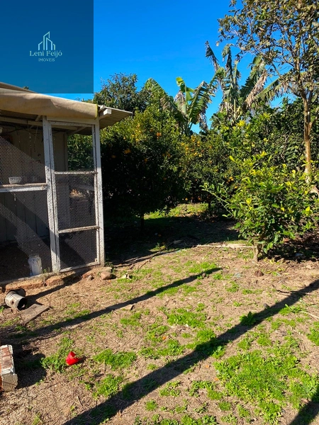Chácara com casa, galpão e amplo terreno em Terra de Areia: 16ª foto da galeria de imagens do imóvel