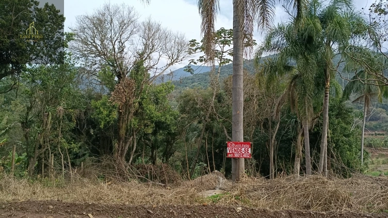 Terreno de 20x50 na Rua das Bananeiras, em Três Forquilhas: 1ª foto da galeria de imagens do imóvel