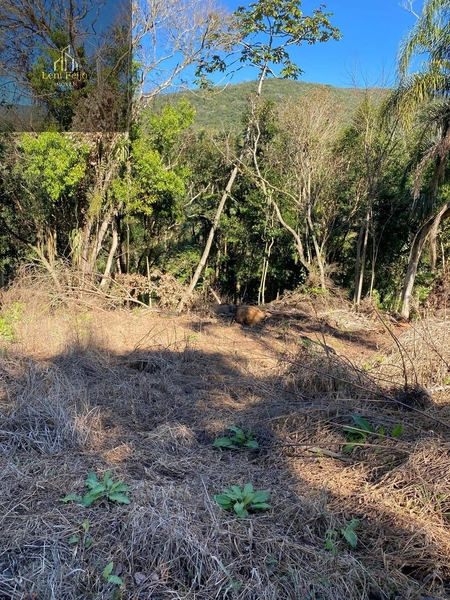 Terreno de 20x50 na Rua das Bananeiras, em Três Forquilhas: 2ª foto da galeria de imagens do imóvel