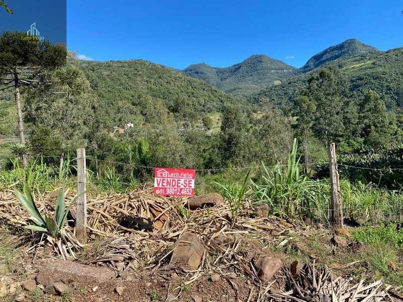 Área à Venda – Linha Cardoso, Três Forquilhas/RS: 1ª foto da galeria de imagens do imóvel