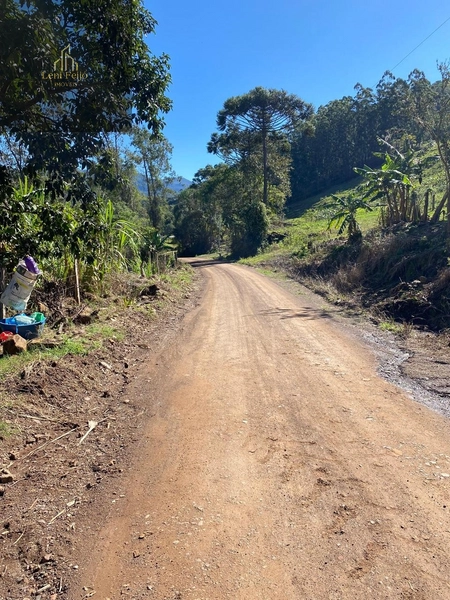 Área à Venda – Linha Cardoso, Três Forquilhas/RS: 3ª foto da galeria de imagens do imóvel