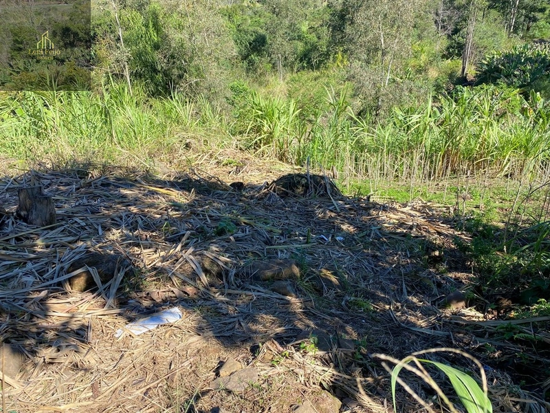 Área à Venda – Linha Cardoso, Três Forquilhas/RS: 2ª foto da galeria de imagens do imóvel
