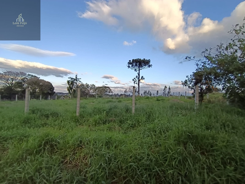Terreno à venda no Bairro Bela Vista – Terra de Areia/RS: 3ª foto da galeria de imagens do imóvel