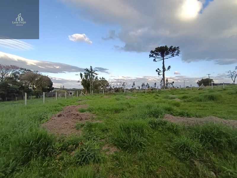 Terreno à venda no Bairro Bela Vista – Terra de Areia/RS: 2ª foto da galeria de imagens do imóvel