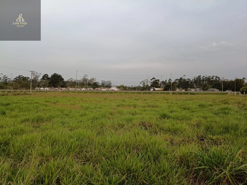 Área de 1,3 ha as margens da BR-101 Terra de Areia/RS: 5ª foto da galeria de imagens do imóvel