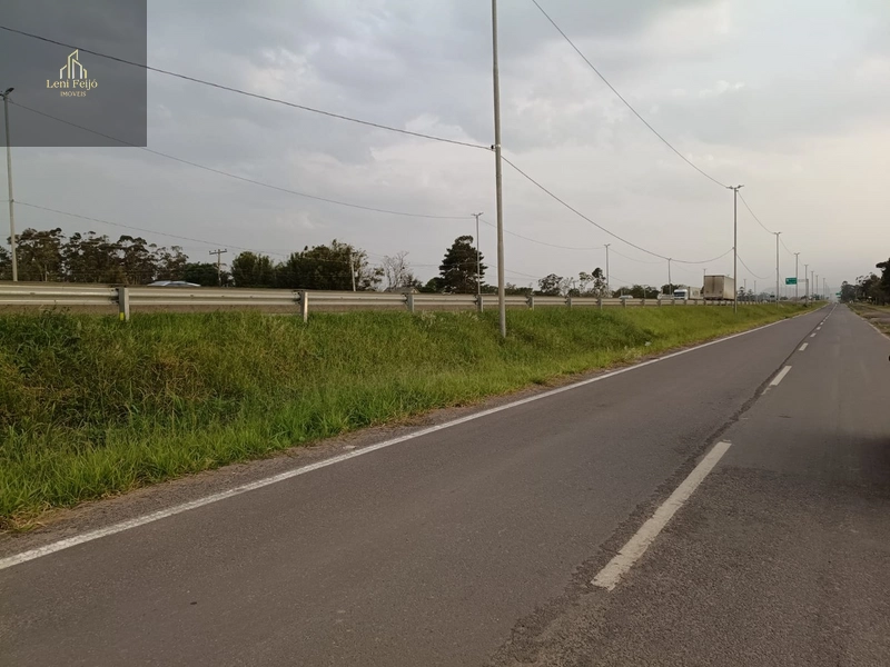 Área de 1,3 ha as margens da BR-101 Terra de Areia/RS: 6ª foto da galeria de imagens do imóvel