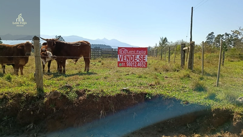 Área de 5 Hectares em Localização Estratégica em Terra de Areia/RS