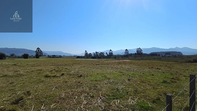 Área de 5 Hectares em Localização Estratégica em Terra de Areia/RS: 4ª foto da galeria de imagens do imóvel
