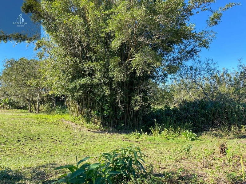 ÁREA DE TERRAS: 2ª foto da galeria de imagens do imóvel