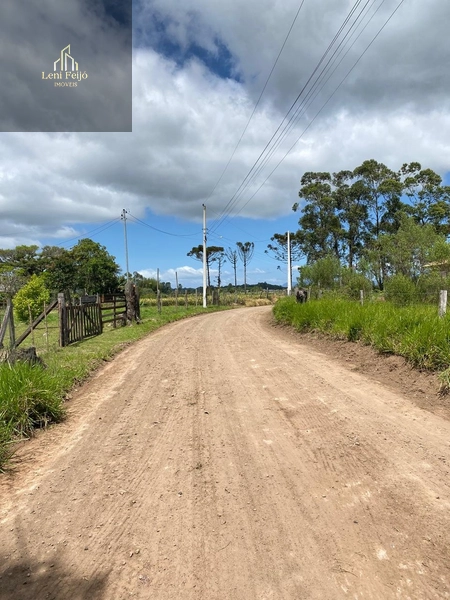 Terreno: 2ª foto da galeria de imagens do imóvel