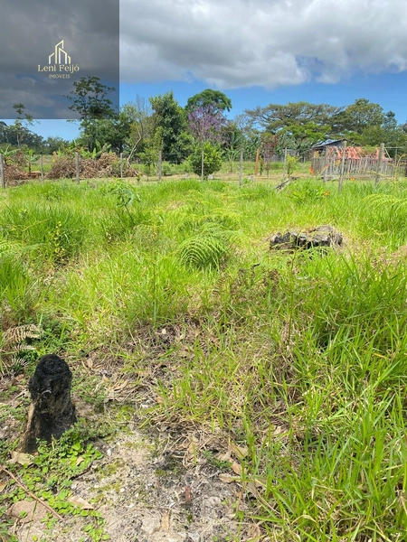 Terreno: 9ª foto da galeria de imagens do imóvel