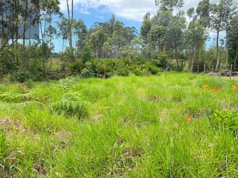 Terreno: 6ª foto da galeria de imagens do imóvel