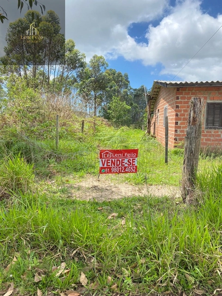 Terreno: 7ª foto da galeria de imagens do imóvel