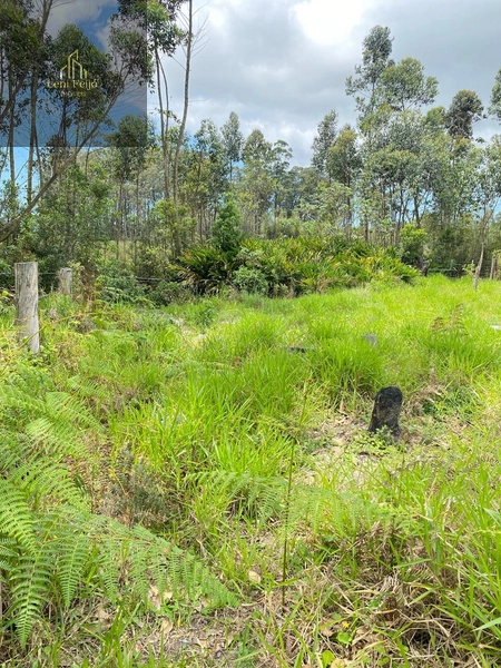 Terreno: 8ª foto da galeria de imagens do imóvel