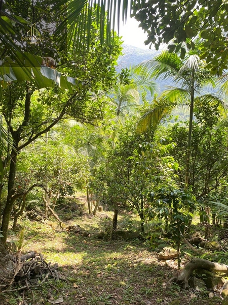 Linda Chácara à Venda no Interior – Seu Refúgio de Paz!: 9ª foto da galeria de imagens do imóvel